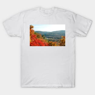 Autumn Landscape Near Doberdo T-Shirt